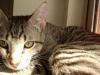 vic-p2210681a.jpg